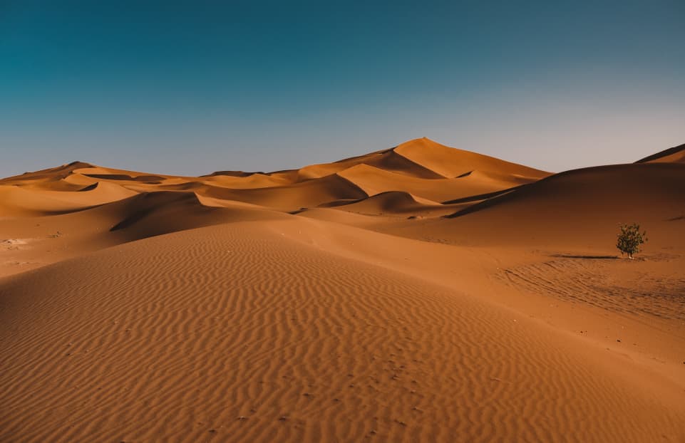 10 tips giúp cho những bức ảnh chụp của bạn trở nên hấp dẫn hơn